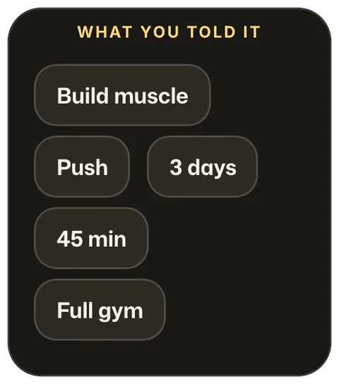 What the workout builder was told: build muscle, push split, 3 days, 45 minutes, full gym.
